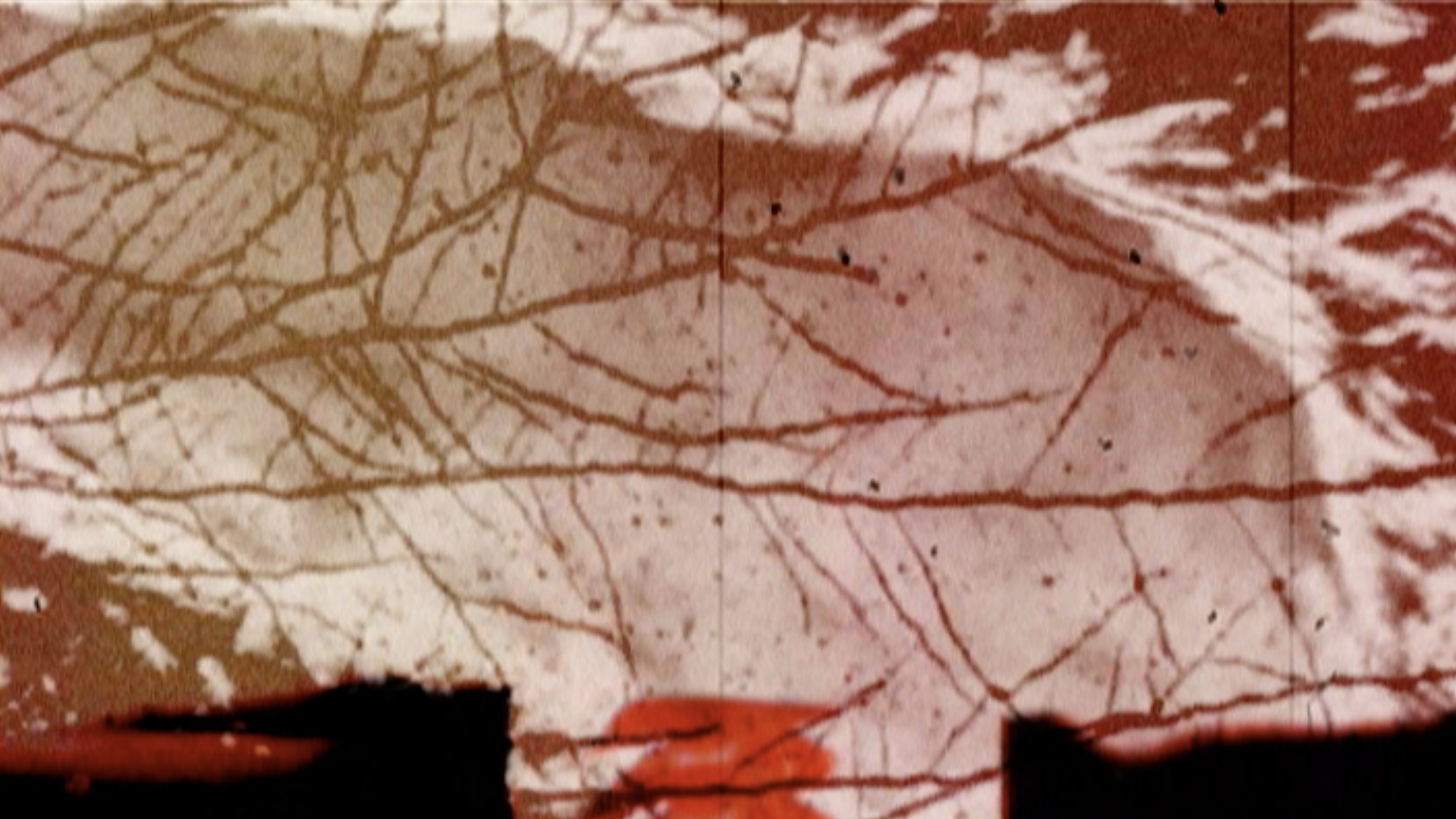 Music — Curtis Roads